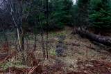 20200 Hibma Road - Photo 92