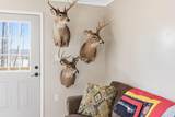 3607 Hansen Road - Photo 25