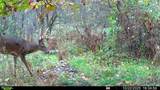 3607 Hansen Road - Photo 3