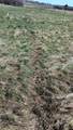3607 Hansen Road - Photo 31