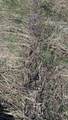 3607 Hansen Road - Photo 37