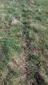 3607 Hansen Road - Photo 49