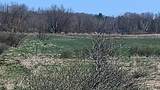 3607 Hansen Road - Photo 56