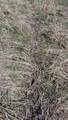 3607 Hansen Road - Photo 67