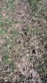 3607 Hansen Road - Photo 77