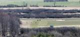 3607 Hansen Road - Photo 9