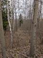 2889 Mill Station Road - Photo 23