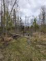 2889 Mill Station Road - Photo 32
