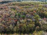 6799 Maplegrove Road - Photo 2