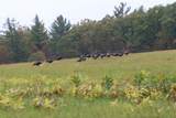 2486 Adams Road - Photo 60