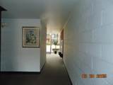 2915 13 Mile Road - Photo 5