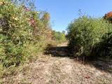 17751 Blue Star Highway - Photo 24