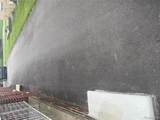 25626 Dunbar Street - Photo 7