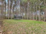 891 White Birch Drive - Photo 77