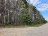 891 White Birch Drive - Photo 78