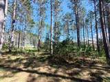 16880 Vondra Road - Photo 15