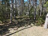 16880 Vondra Road - Photo 23