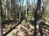 16880 Vondra Road - Photo 29