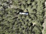16880 Vondra Road - Photo 3