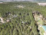 16880 Vondra Road - Photo 31