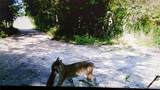 6392 20th Ave Avenue - Photo 48