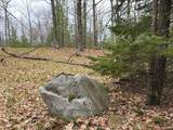 10838 Broad Road - Photo 72