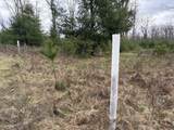 10838 Broad Road - Photo 81