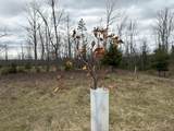 10838 Broad Road - Photo 82