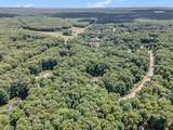 3479 Jeffrey Spur - Photo 48