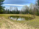 1570 Ryno Road - Photo 45