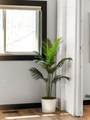 1323 Cass Street - Photo 36