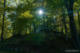 6811 Burger Drive - Photo 45
