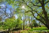 8250 Rum Creek Trail - Photo 13