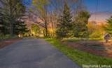 8250 Rum Creek Trail - Photo 7