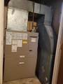 41276 Woodbury Green Drive - Photo 13