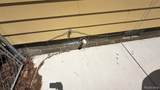 27361 Osmun Street - Photo 71