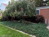 50590 Card Road - Photo 33