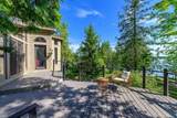 12246 Pineridge Trail - Photo 44