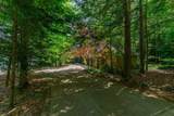 12246 Pineridge Trail - Photo 45