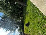 39751 Sylvia Street - Photo 17