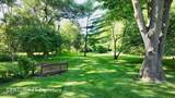 217 Dutch Mill Drive - Photo 47