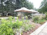 103 White Birch - Photo 6