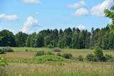 3102 9 Road - Photo 38