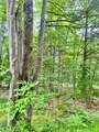 151 Dubonnet Trail - Photo 71