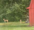 3792 Wheeler Road - Photo 38