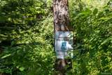 408 Columbiaville Road - Photo 30