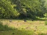  Hagerman Road - Photo 27
