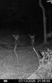  Hagerman Road - Photo 41
