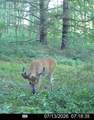  Hagerman Road - Photo 42