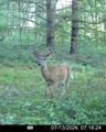  Hagerman Road - Photo 43